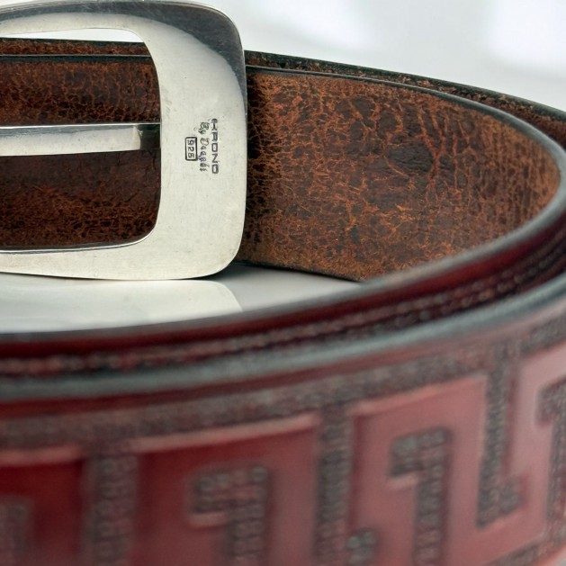 The Draghi Belt