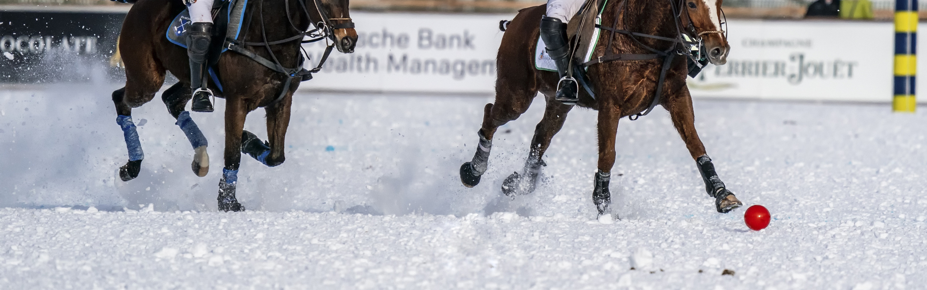 https://www.kronopolo.com/image/cache/catalog/Blog%20Banners/horseshows%20for%20snow%20polo-1903x596.jpg