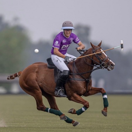 High Goal Polo Gloves