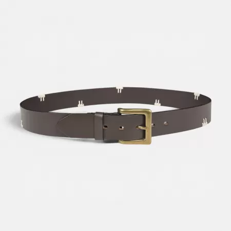 The Polo Belt "Atacama" The Polo Belt "Atacama"