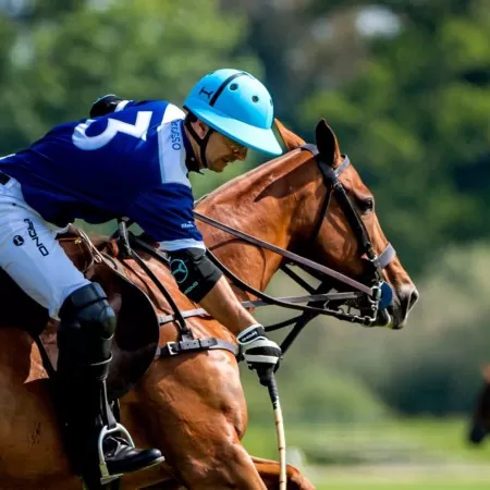 Pelham Jointed Pelham Jointed