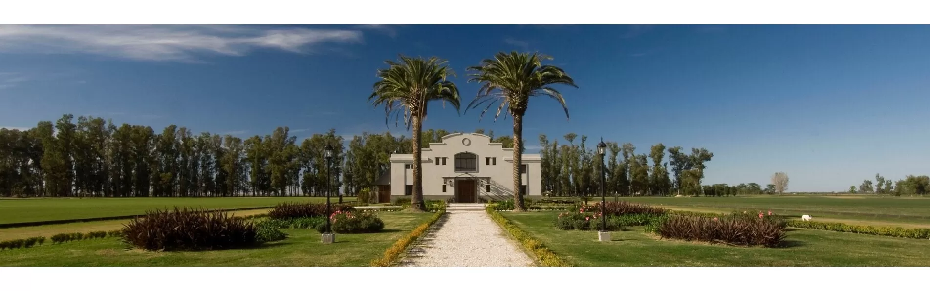 image/cache/wp/ge/Blog%20Banners/polo%20holidays-1903x596.webp image/cache/wp/ge/Blog%20Banners/polo%20holidays-1903x596.webp