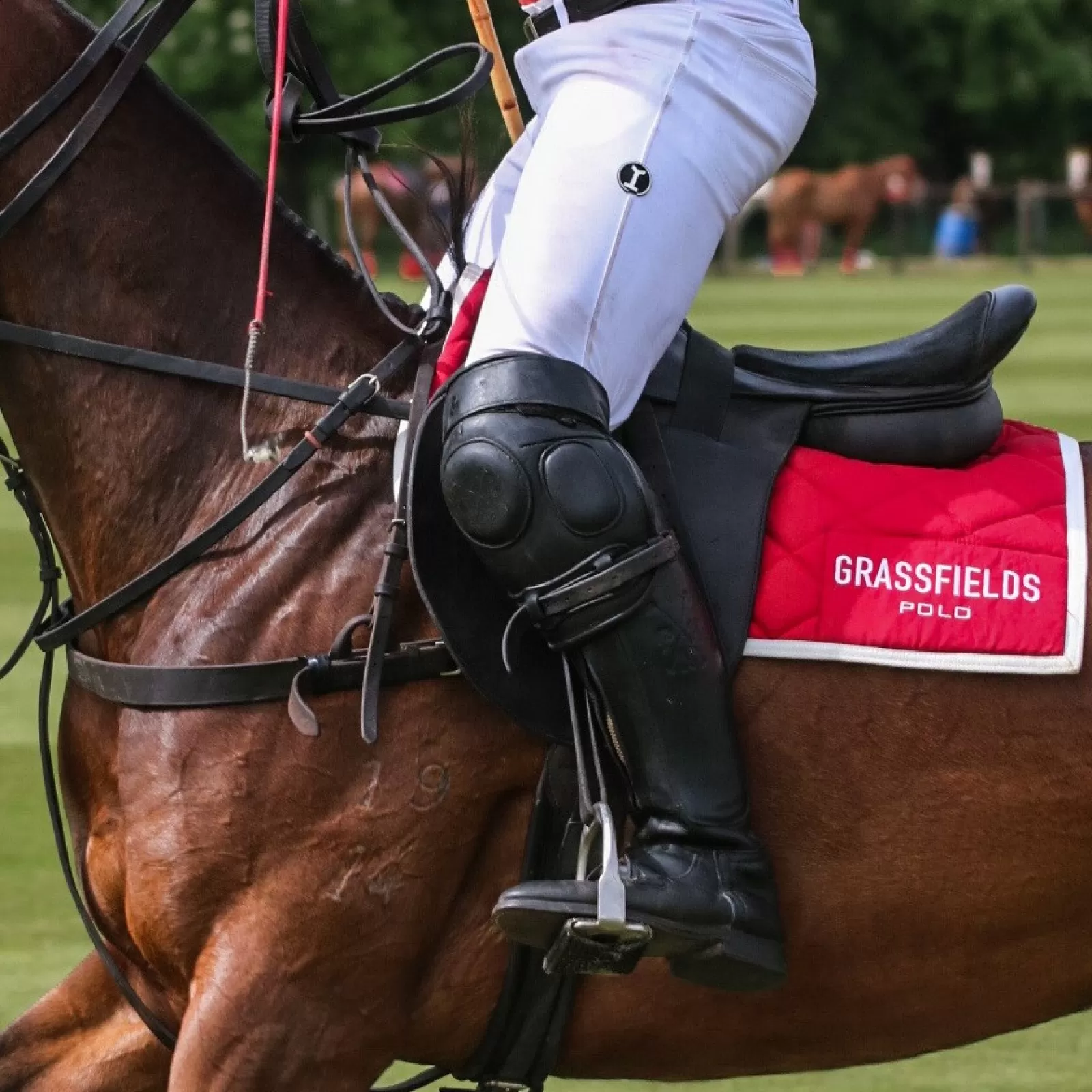 Cordovan Polo Boots Cordovan Polo Boots