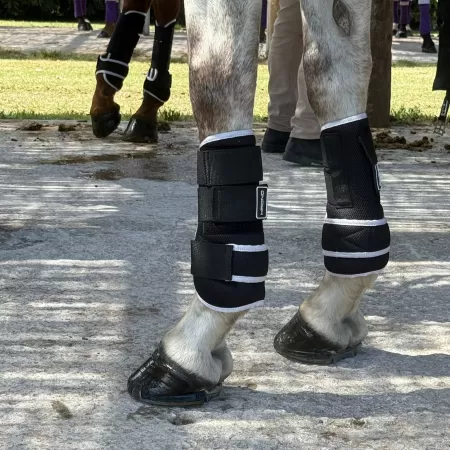Krono Horse Boots Front White Krono Horse Boots Front White