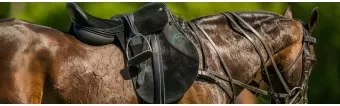What Makes a Good Polo Saddle What Makes a Good Polo Saddle