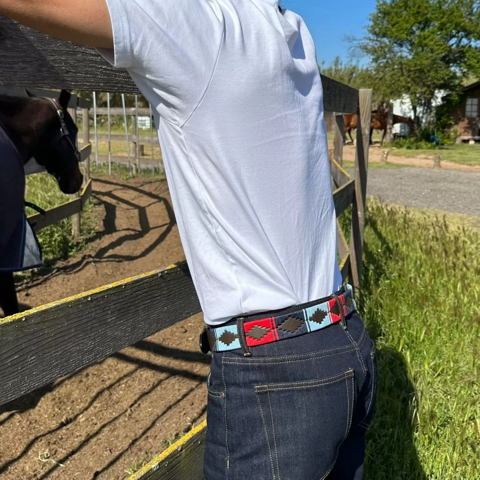 The Polo Belt "Park Place" The Polo Belt "Park Place"