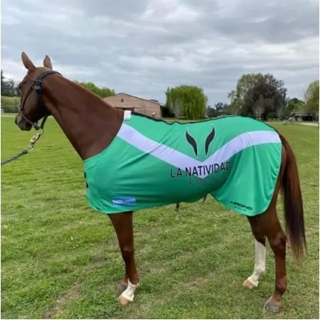 Polo Field Blankets Polo Field Blankets