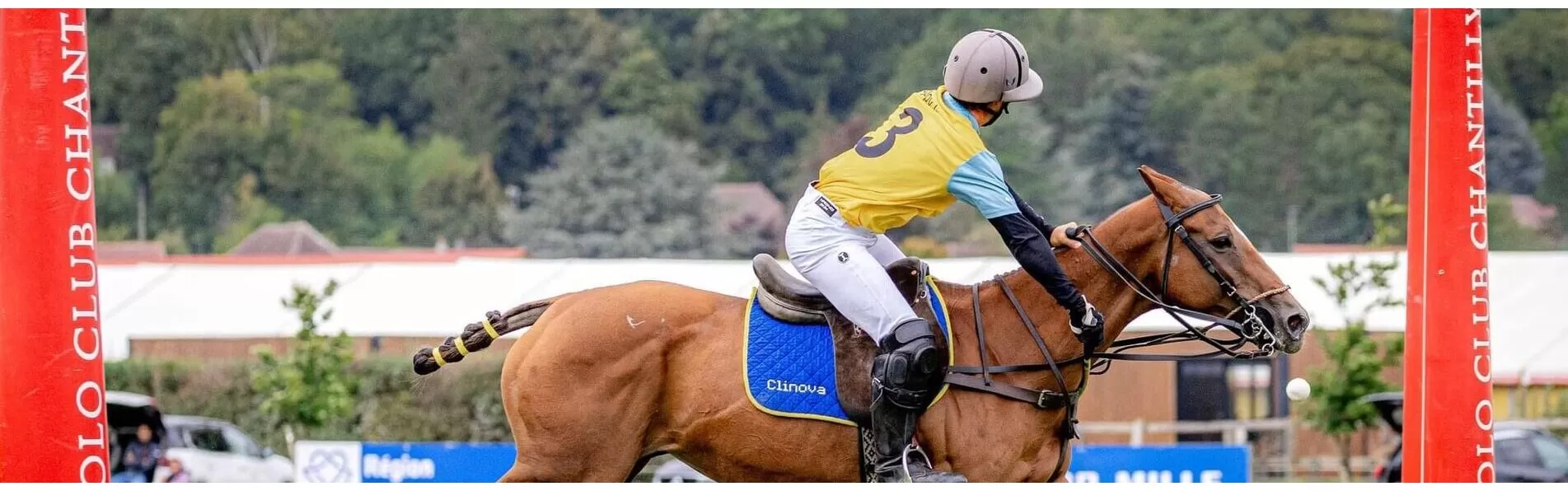 image/cache/wp/gj/Blog%20Banners/Alejandro%20Muzzio-1903x596.webp image/cache/wp/gj/Blog%20Banners/Alejandro%20Muzzio-1903x596.webp