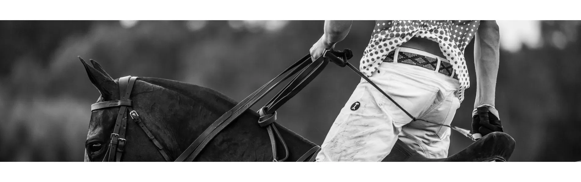 image/cache/wp/gj/Blog%20Banners/polo%20belts%20by%20Krono-1903x596.webp image/cache/wp/gj/Blog%20Banners/polo%20belts%20by%20Krono-1903x596.webp