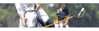 How to Choose the Right Polo Mallet How to Choose the Right Polo Mallet