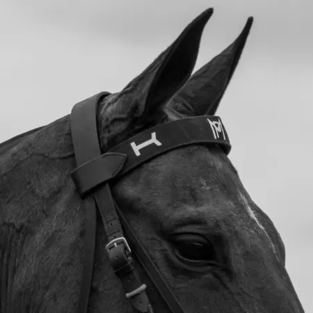 Custom Browbands Custom Browbands