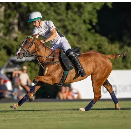 High Goal Polo Saddle High Goal Polo Saddle