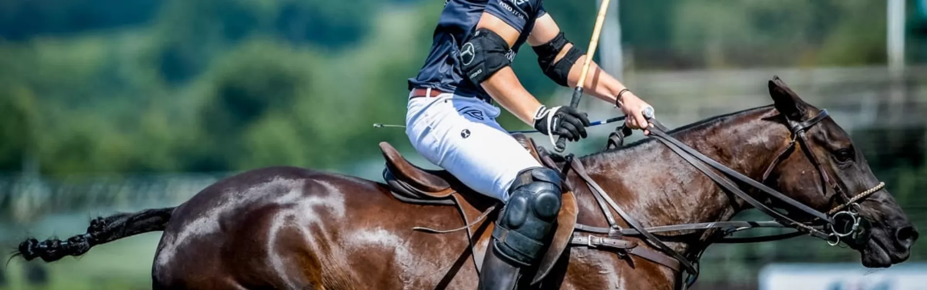 image/cache/wp/gp/Blog%20Banners/history-of-polo-trousers-1903x596.webp image/cache/wp/gp/Blog%20Banners/history-of-polo-trousers-1903x596.webp