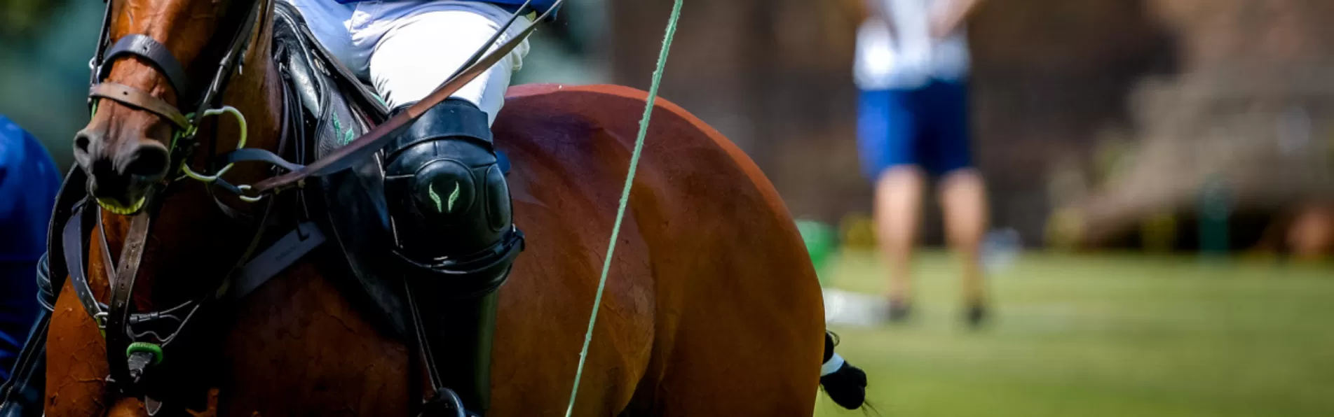 image/cache/wp/gp/Blog%20Banners/krono-polo-kneed-pads-1903x596.webp image/cache/wp/gp/Blog%20Banners/krono-polo-kneed-pads-1903x596.webp