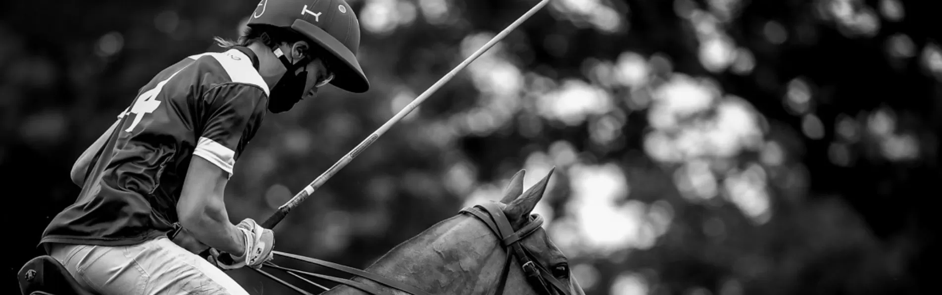 image/cache/wp/gp/Blog%20Banners/look-like-a-polo-player-1903x596.webp image/cache/wp/gp/Blog%20Banners/look-like-a-polo-player-1903x596.webp