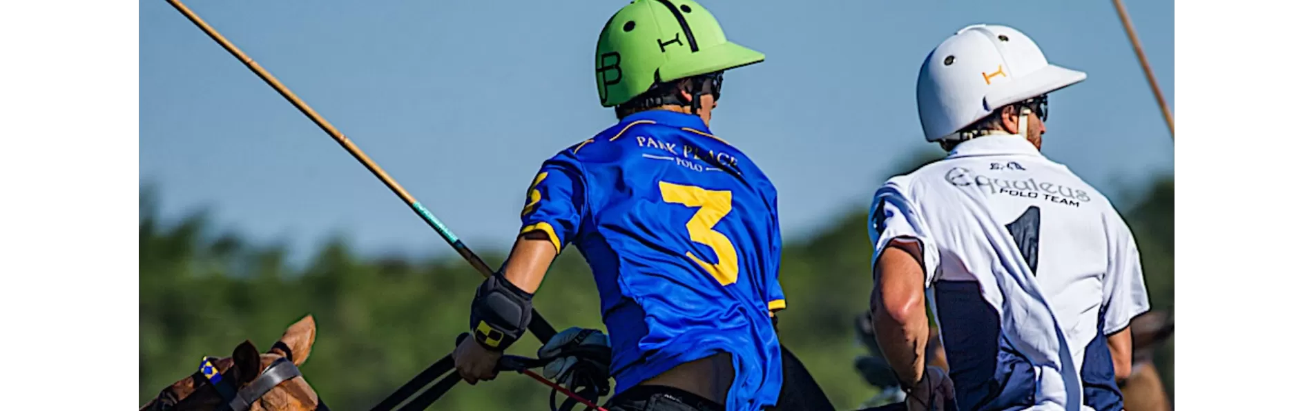 image/cache/wp/gp/Blog%20Banners/safety-polo-helmets-1903x596.webp image/cache/wp/gp/Blog%20Banners/safety-polo-helmets-1903x596.webp