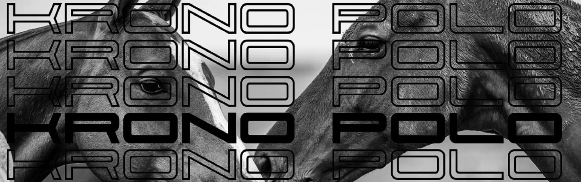 image/cache/wp/gp/Blog/banner%203/the-polo-saddle-krono-1903x596.webp image/cache/wp/gp/Blog/banner%203/the-polo-saddle-krono-1903x596.webp