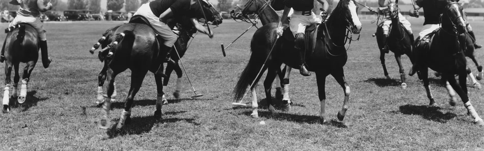 image/cache/wp/gp/Blog/polo-horses-stop-better-1903x596.webp image/cache/wp/gp/Blog/polo-horses-stop-better-1903x596.webp
