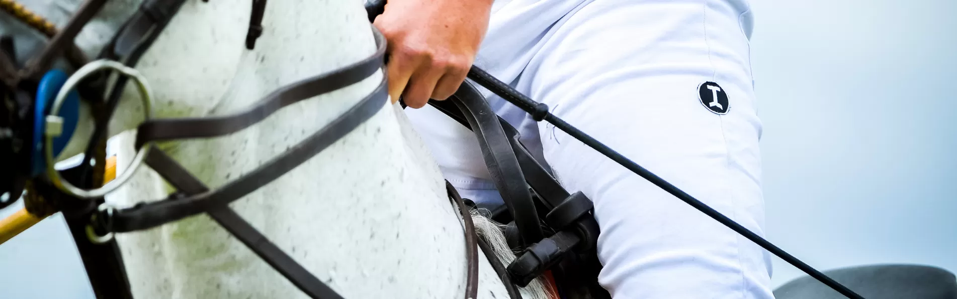 image/cache/wp/gp/NEW%20BLOG/Polo%20Whip-1903x596.webp image/cache/wp/gp/NEW%20BLOG/Polo%20Whip-1903x596.webp