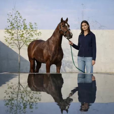 Cashmere Zip Hoodie Navy Blue Cashmere Zip Hoodie Navy Blue